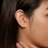 Pendientes de estilo Pandora con Moissanita (Un certificado) - MSE034