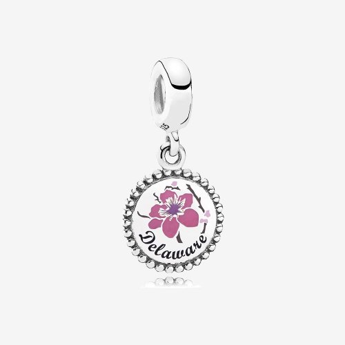 Charm colgante Delaware de Pandora - ENG791169_15