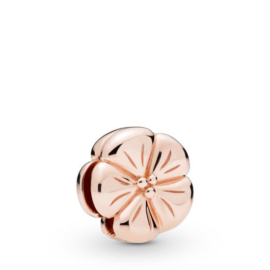 Charm Reflexions en Pandora Rose Flor Clásica - 787897 - Haga click en la imagen para cerrar
