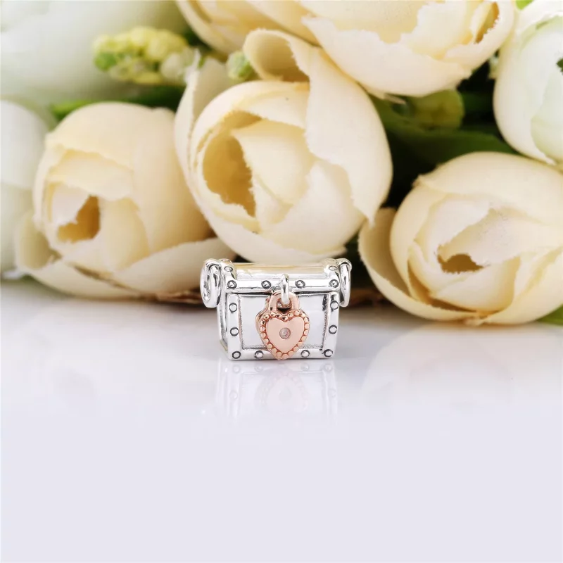 (imagen para) Charm en plata de primera ley y PANDORA Rose PANDORA Club 2019 - 787792D - Ver 2