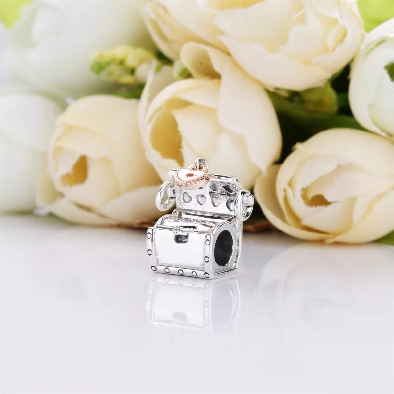 (imagen para) Charm en plata de primera ley y PANDORA Rose PANDORA Club 2019 - 787792D - Ver 4