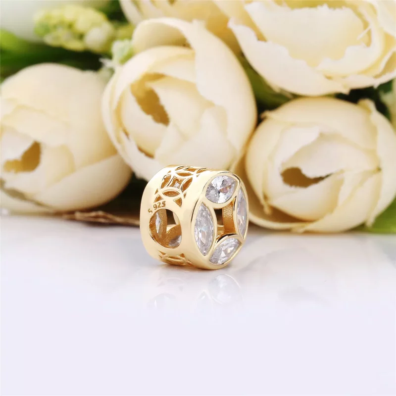 (imagen para) Charm PANDORA Moneda de la buena fortuna 767821CSY - Ver 4