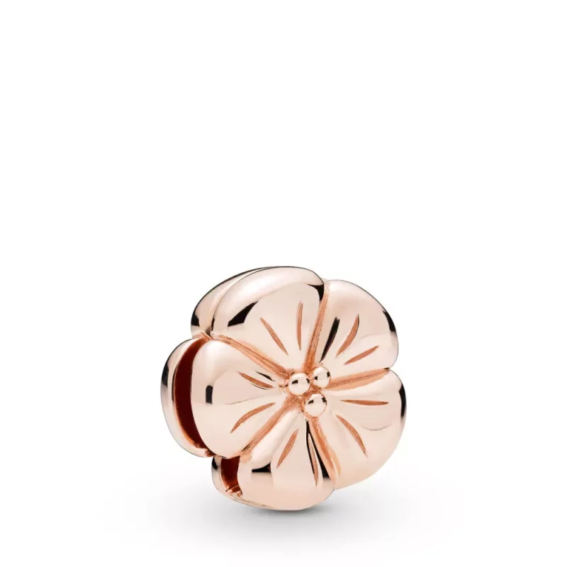 (imagen para) Charm Reflexions en Pandora Rose Flor Clásica - 787897