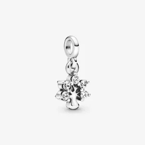 (imagen para) Charm colgante PANDORA Mi Naturaleza - 798367CZ