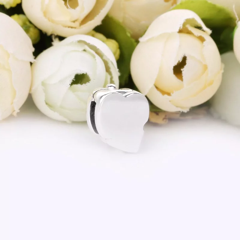 (imagen para) Clip PANDORA Hoja deslumbrante - 798293CZ - Ver 3