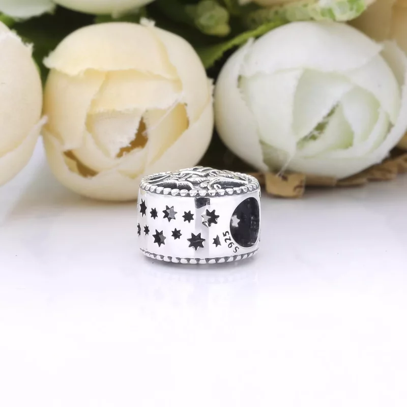 (imagen para) PANDORA Harry Potter, Charm de la Escuela de Magia y Hechicería Hogwarts - 79862 - Ver 4