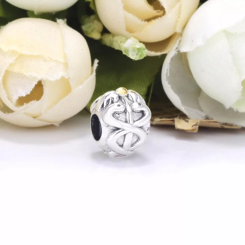 (imagen para) Pandora Charms de Encanto Médico - 791042 - Ver 3