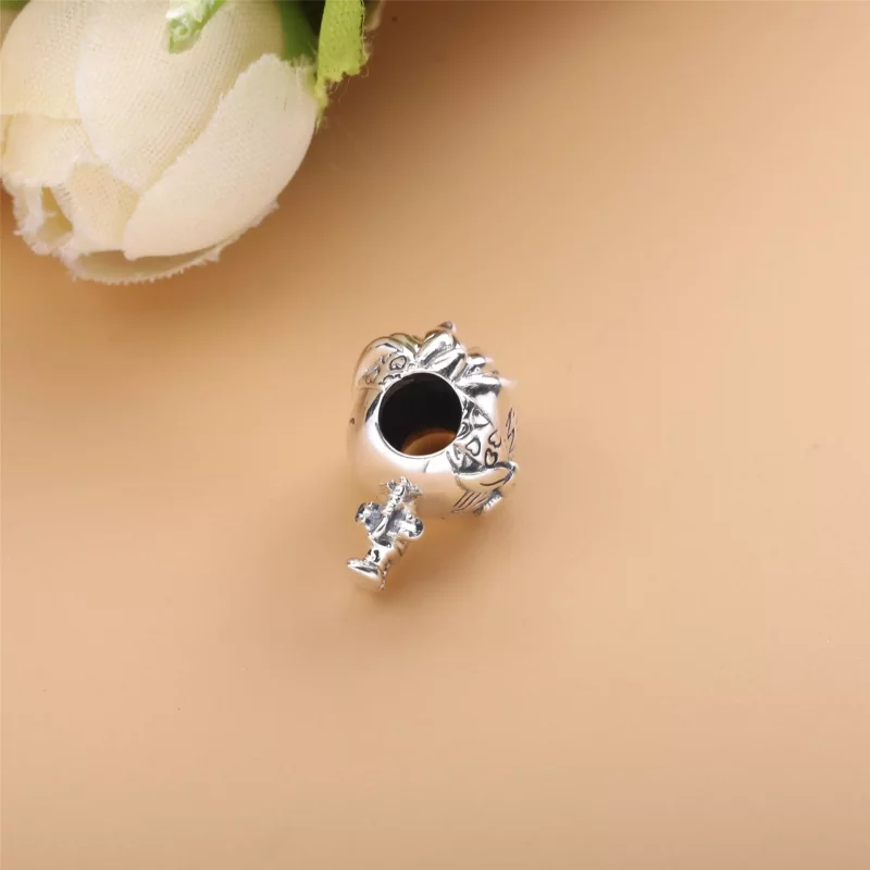 (imagen para) Charm de PANDORA para chico adolescente - 798897C00 - Ver 3