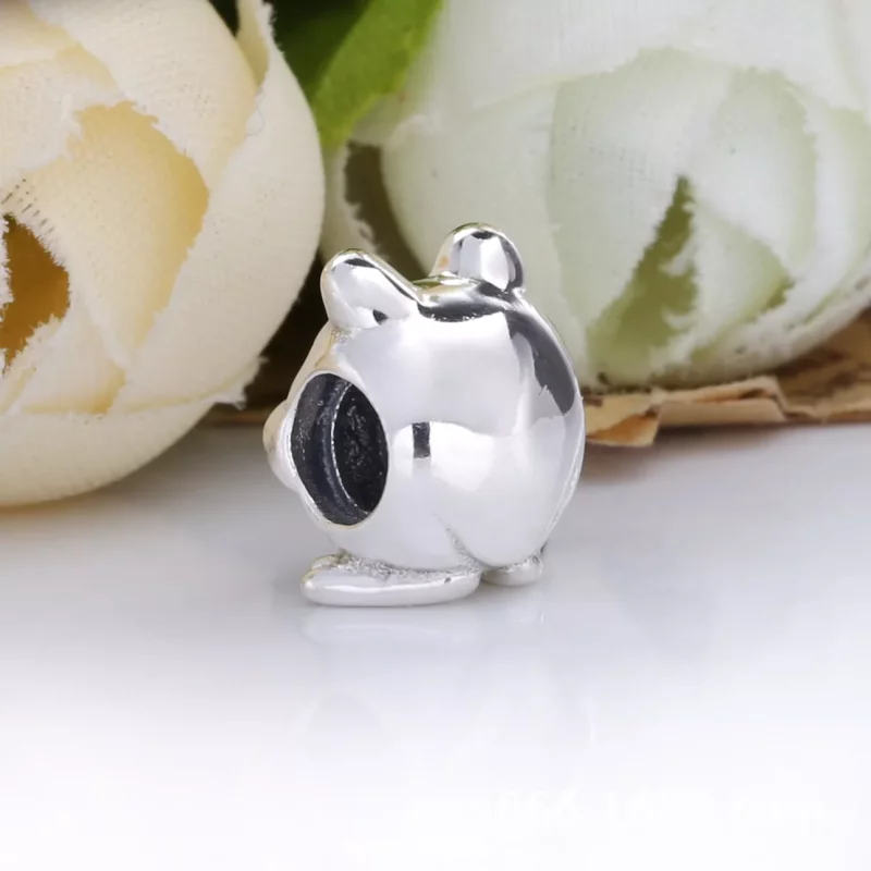 (imagen para) Pandora 2020 Edición Limitada Charm de Rana - 798953C00 - Ver 3