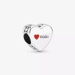 (imagen para) PANDORA Charm de Corazón del Amor de Gales - 792015_E008