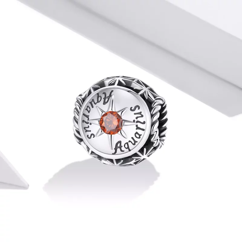 (imagen para) Charm estilo Pandora brillante del signo de Acuario - SCC1725-11 - Ver 2