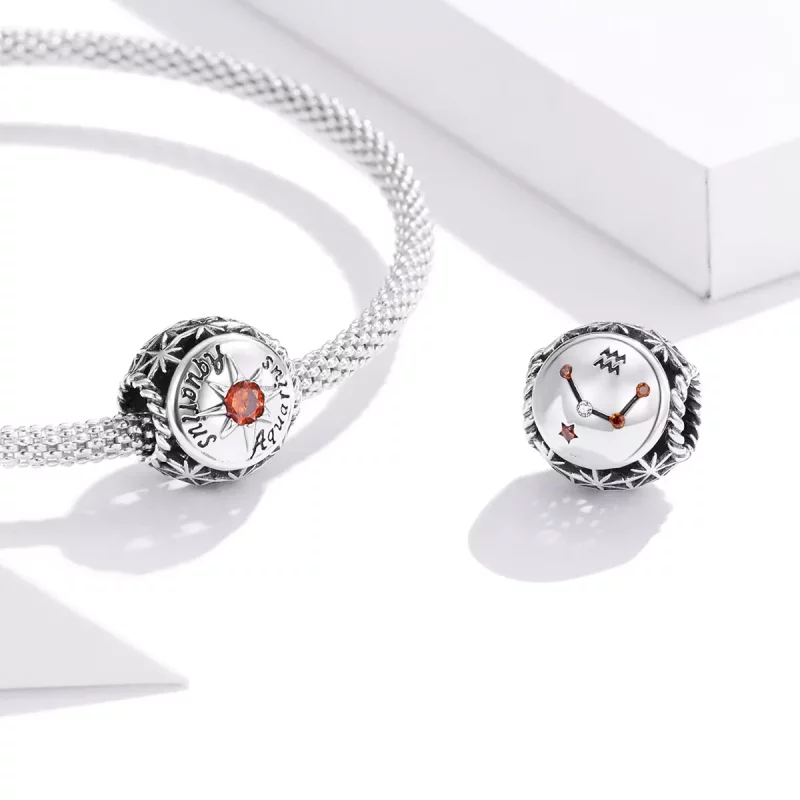(imagen para) Charm estilo Pandora brillante del signo de Acuario - SCC1725-11 - Ver 3