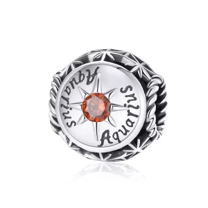 (imagen para) Charm estilo Pandora brillante del signo de Acuario - SCC1725-11