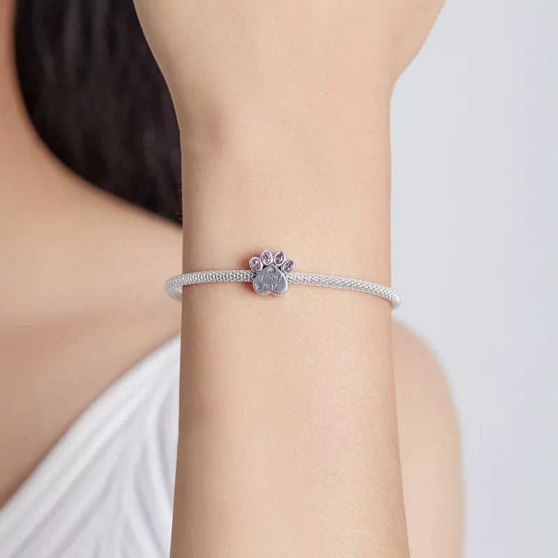 (imagen para) Venta de encanto de estilo Pandora para amigos - BSC517 - Ver 5