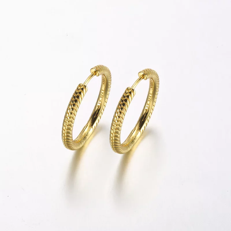 (imagen para) Aros de Argollas con Dijes de Pandora Moments - 269532C00 - Ver 2