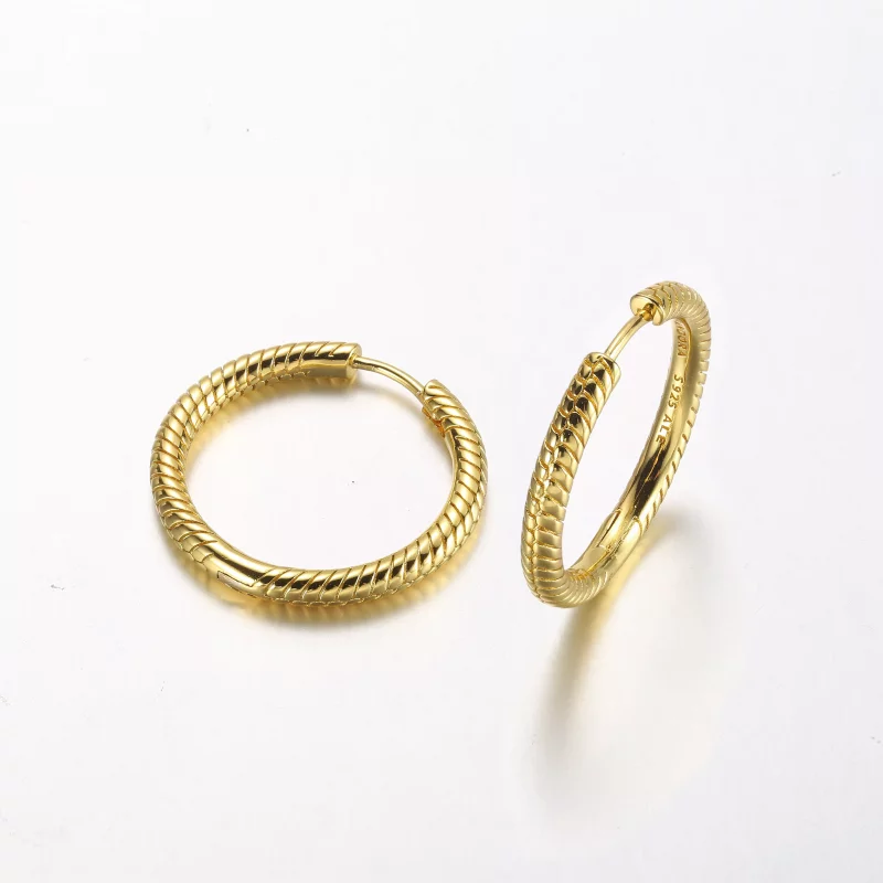 (imagen para) Aros de Argollas con Dijes de Pandora Moments - 269532C00 - Ver 3