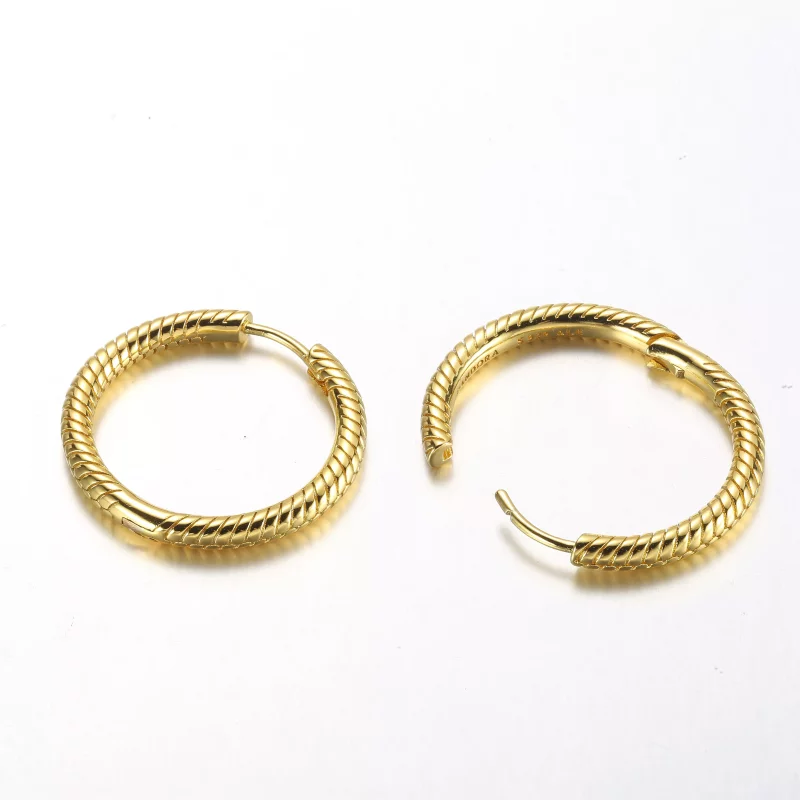 (imagen para) Aros de Argollas con Dijes de Pandora Moments - 269532C00 - Ver 4