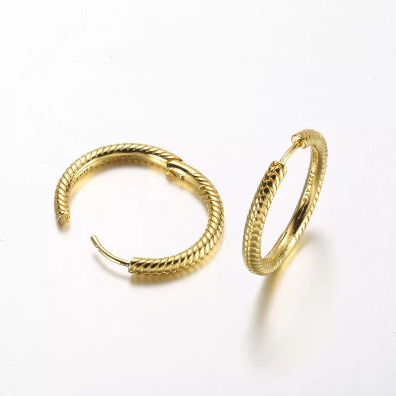 (imagen para) Aros de Argollas con Dijes de Pandora Moments - 269532C00 - Ver 5