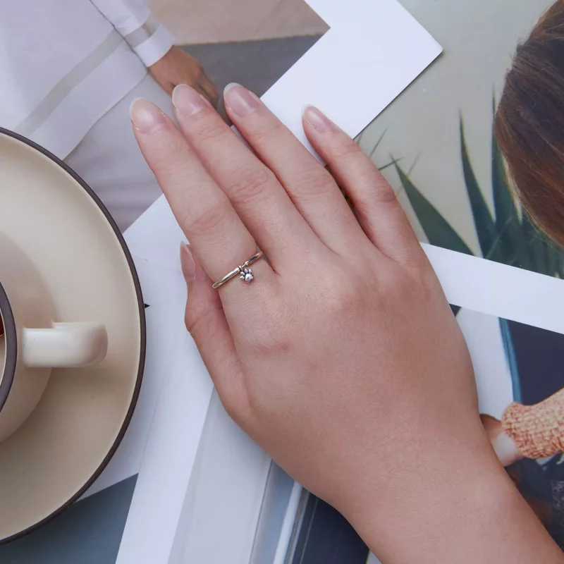 (imagen para) Anillo estilo Pandora con huella de perro - SCR892 - Ver 6