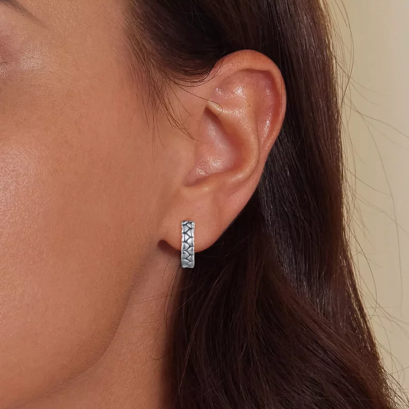 (imagen para) Aretes de aro con corazón estilo Pandora - SCE1653 - Ver 5