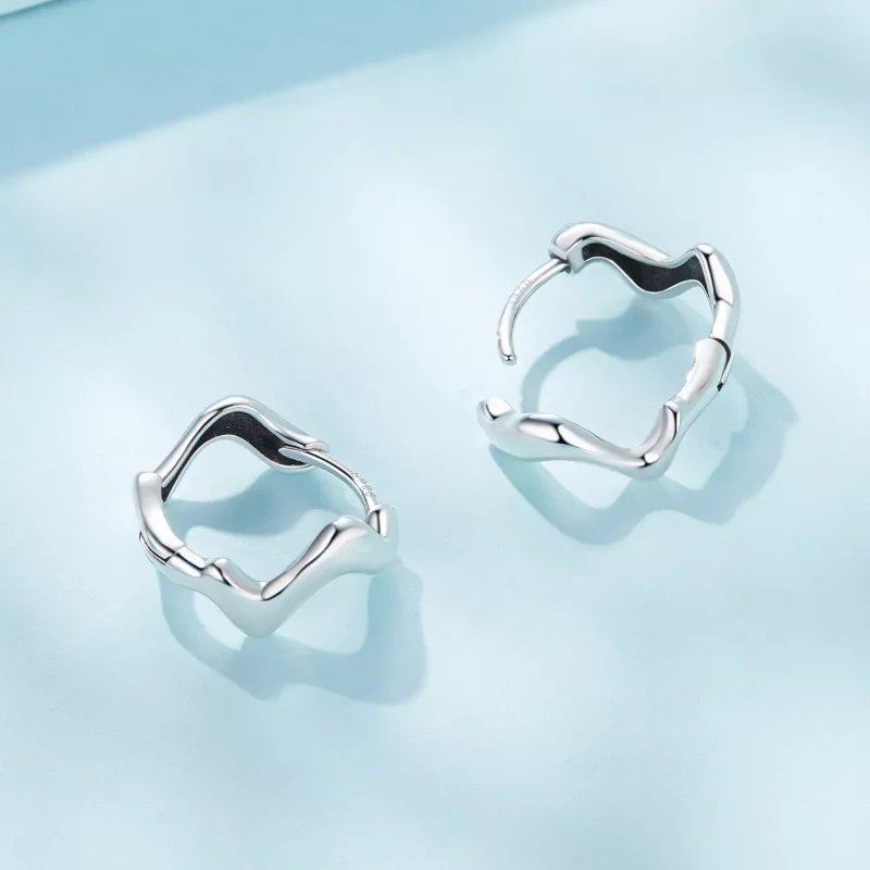 (imagen para) Aretes de estilo Pandora con forma de ola - SCE1624 - Ver 3