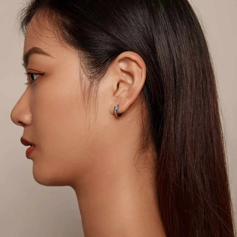 (imagen para) Aretes estilo Pandora con plumas - BSE882 - Ver 5