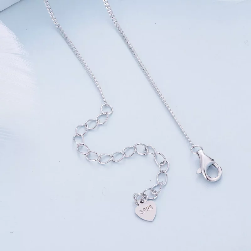 (imagen para) Collar de Doble Anillo estilo Pandora Mobius - BSN362 - Ver 4