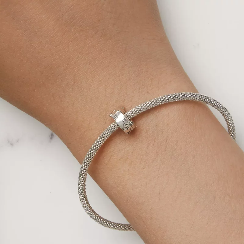 (imagen para) Estilo Pandora Clip Margarita Silvestre - SCC2574 - Ver 7