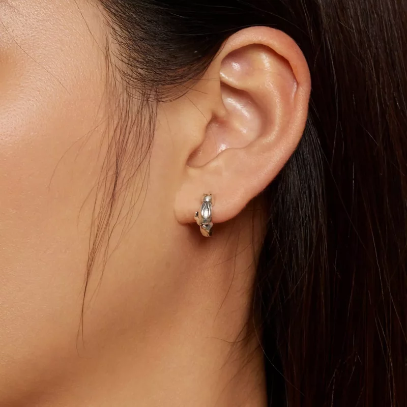 (imagen para) Pendientes de aro con estilo Pandora de conejo - SCE1616 - Ver 5