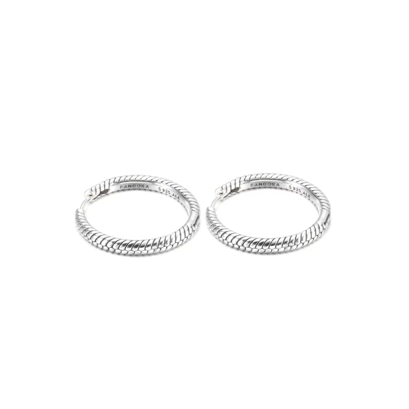 (imagen para) Aretes de Argollas con Charm Pandora Moments - 299532C00 - Ver 2