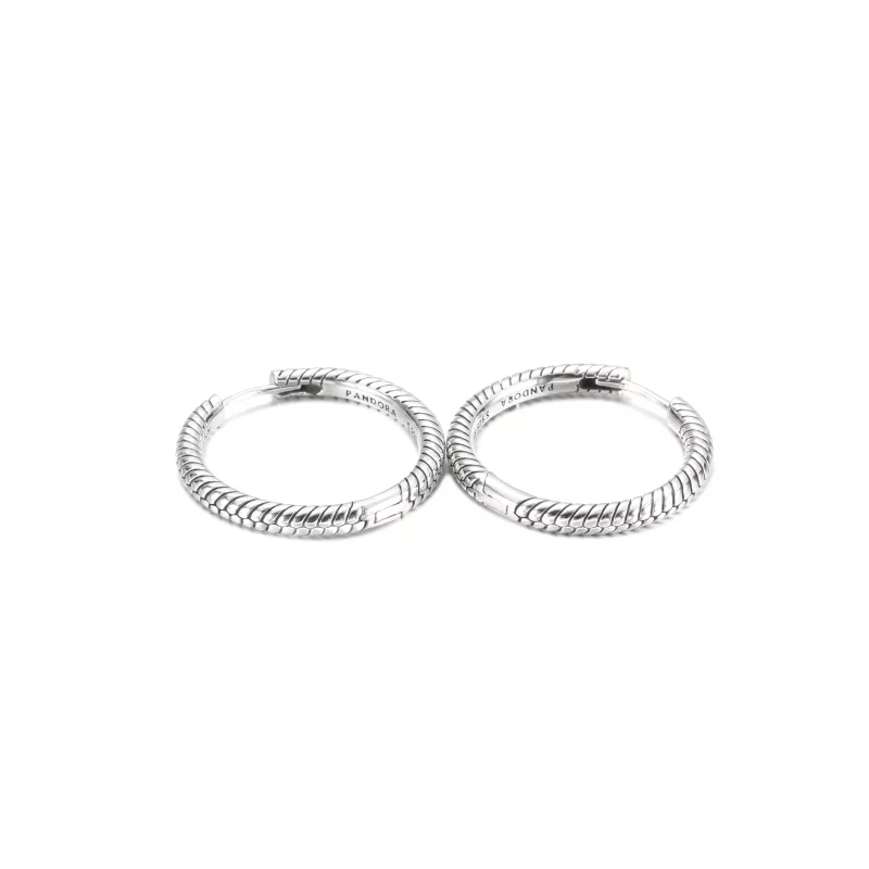 (imagen para) Aretes de Argollas con Charm Pandora Moments - 299532C00 - Ver 4