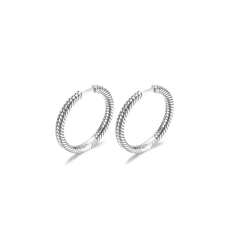 (imagen para) Aretes de Argollas con Charm Pandora Moments - 299532C00 - Ver 5