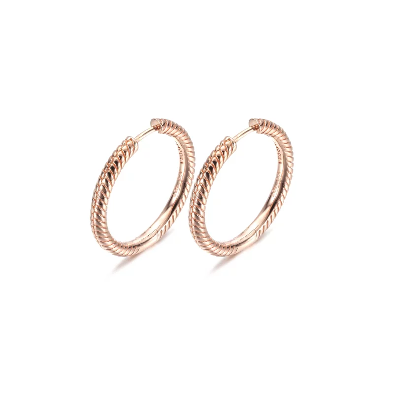 (imagen para) Aros con dije de aro Pandora Moments - 289532C00 - Ver 2
