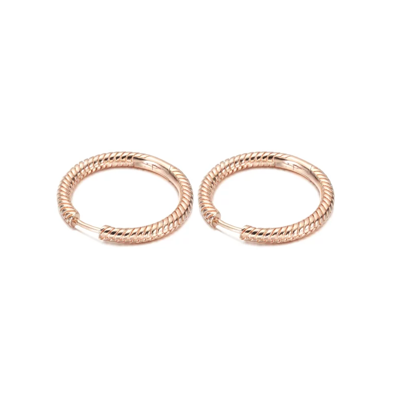 (imagen para) Aros con dije de aro Pandora Moments - 289532C00 - Ver 3