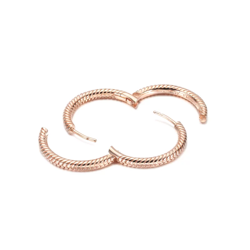 (imagen para) Aros con dije de aro Pandora Moments - 289532C00 - Ver 4