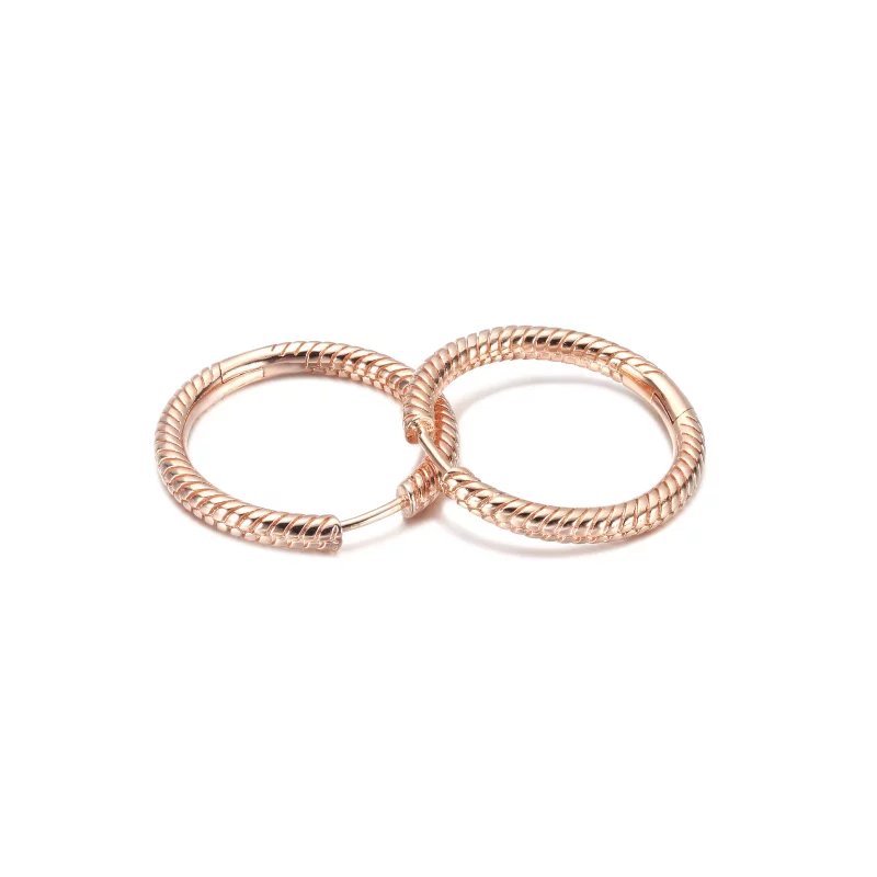 (imagen para) Aros con dije de aro Pandora Moments - 289532C00 - Ver 5