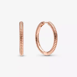 (imagen para) Aros con dije de aro Pandora Moments - 289532C00