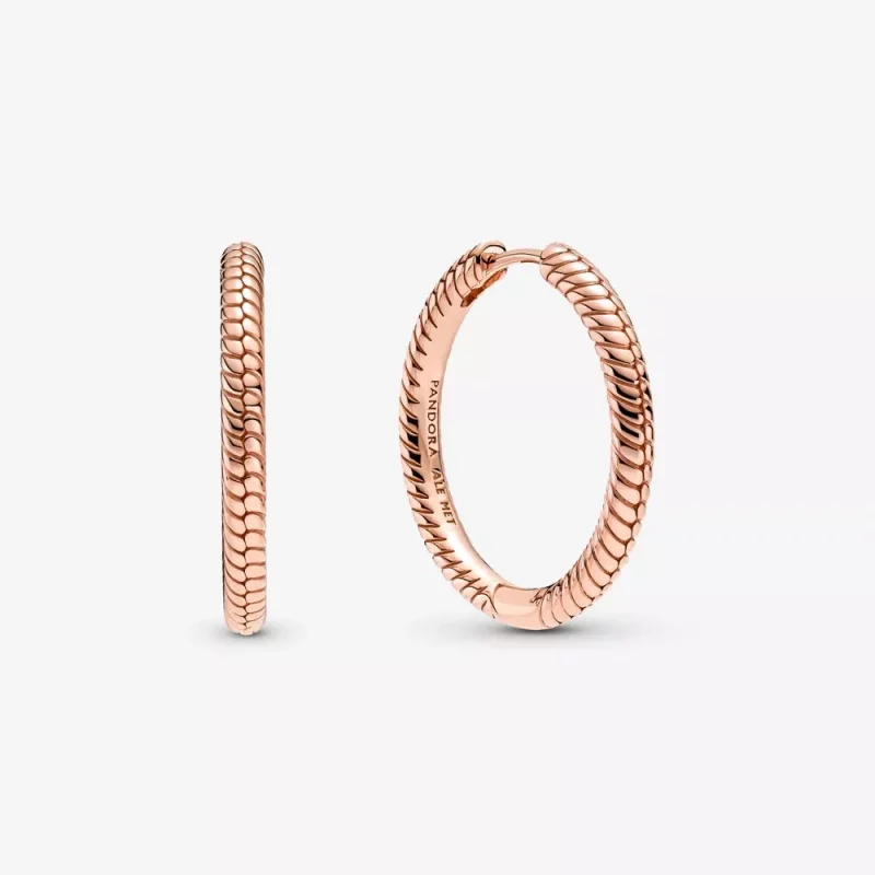 (imagen para) Aros con dije de aro Pandora Moments - 289532C00