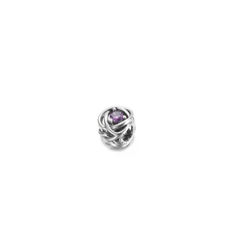 (imagen para) PANDORA Charm Círculo Eterno Morado de Febrero - 790065C02 - Ver 2