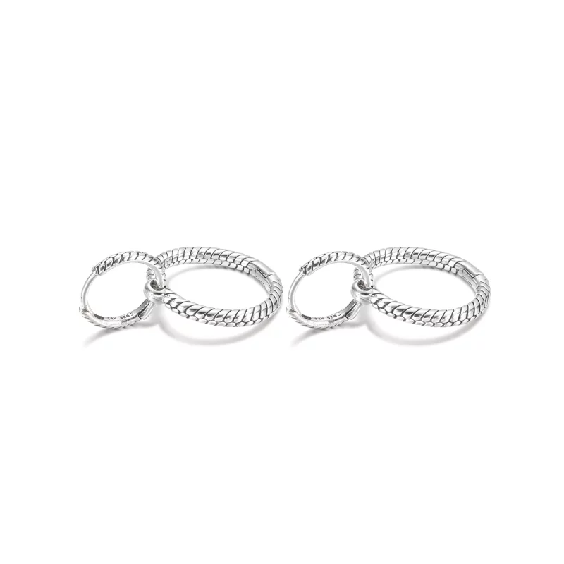 (imagen para) Pendientes de Aro Doble con Charm Pandora Moments - 299562C00 - Ver 4
