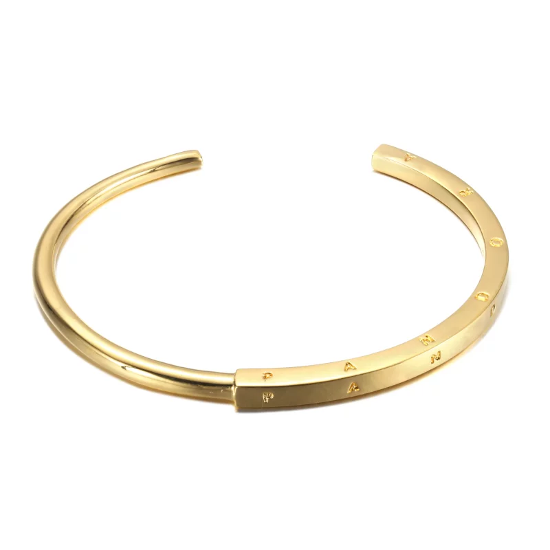 (imagen para) Pulsera Pandora Signature I-D - 569493C00 - Ver 3