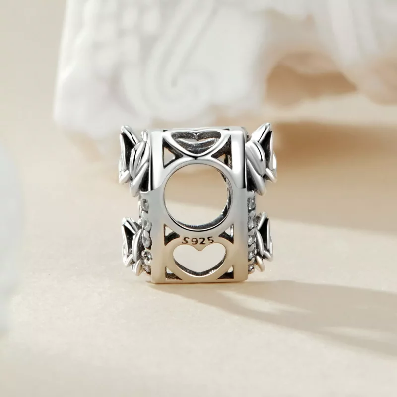 (imagen para) Conmemoración de propuesta romántica estilo PANDORA - SCC2702 - Ver 3