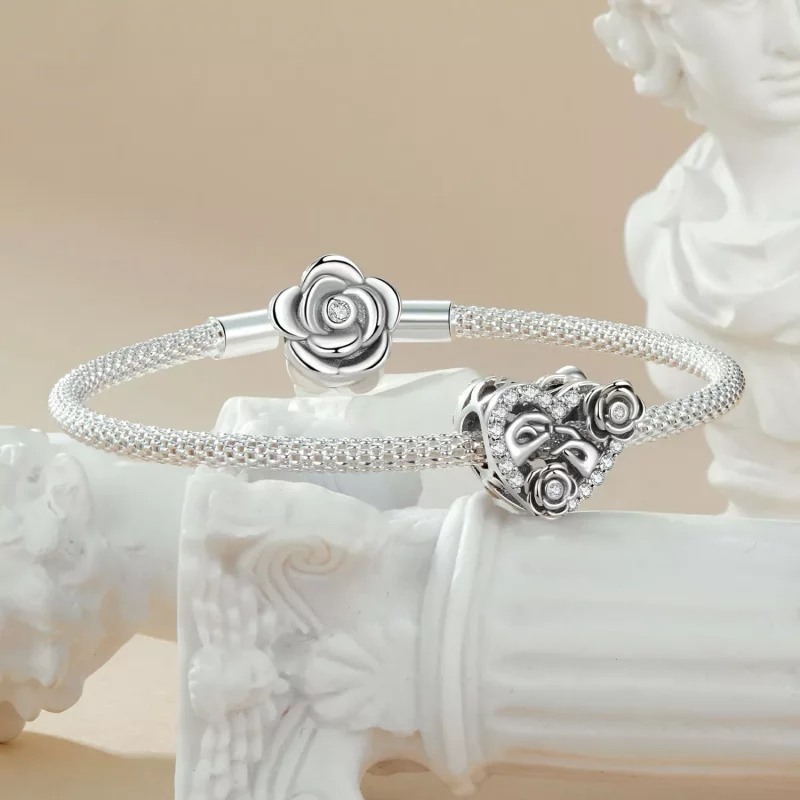 (imagen para) Conmemoración de propuesta romántica estilo PANDORA - SCC2702 - Ver 5