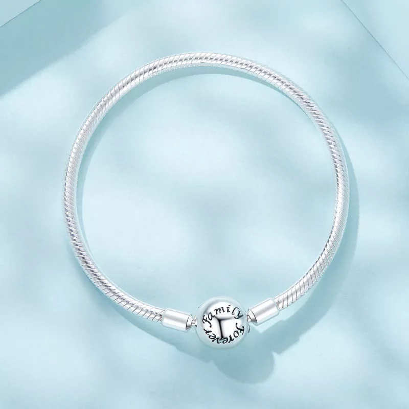 (imagen para) Pulsera básica con hueso de serpiente Forever Love de estilo PANDORA - SCB272 - Ver 4