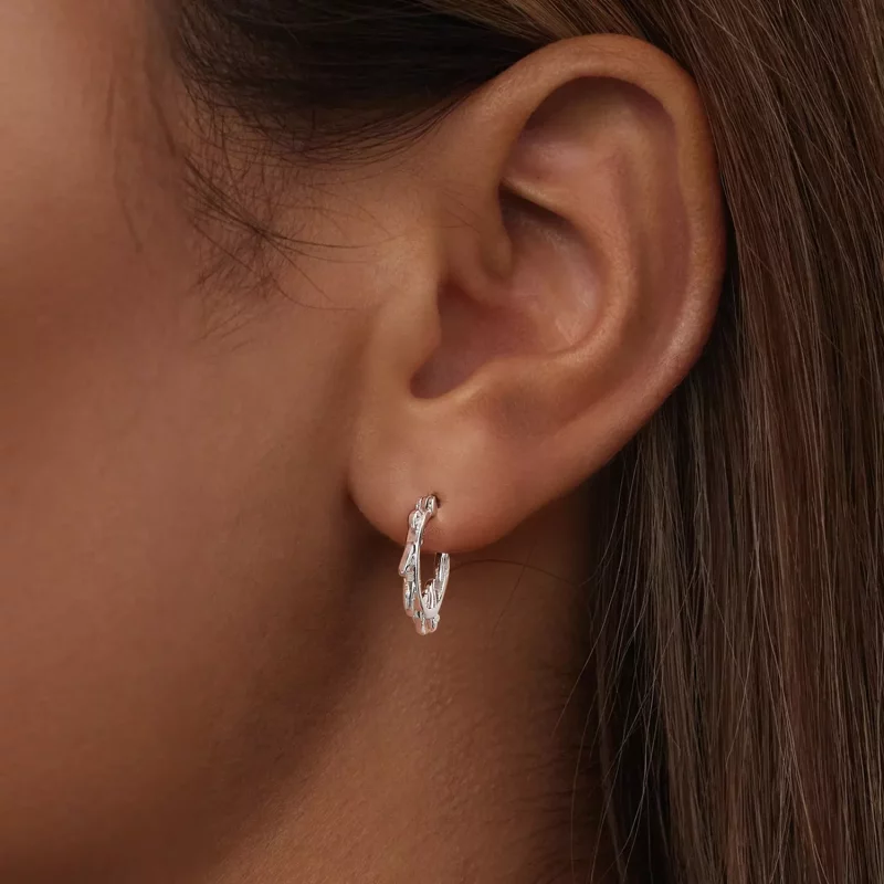 (imagen para) Pendientes de hoja estilo PANDORA - BSE1022 - Ver 6
