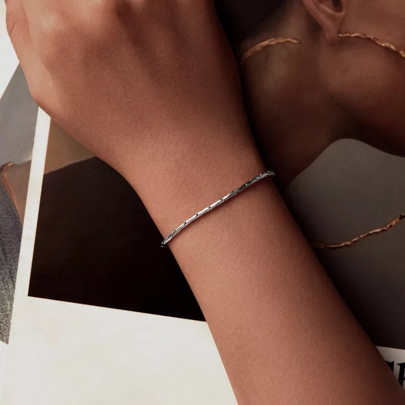 (imagen para) Pulsera básica de moda estilo PANDORA - BSB173 - Ver 4