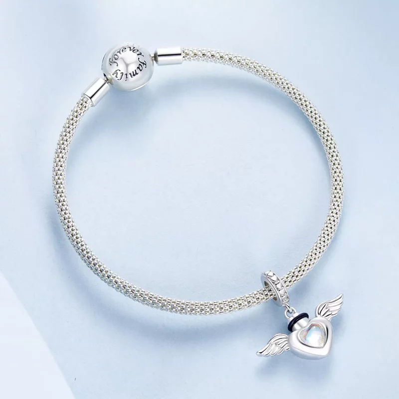 (imagen para) Colgante con urna para mascotas estilo PANDORA - BSC1036 - Ver 5