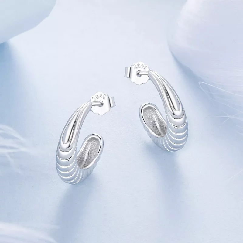 (imagen para) Pendientes con textura de temperamento estilo PANDORA - BSE1058 - Ver 3