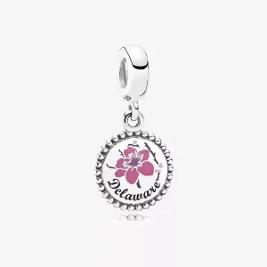 (imagen para) Charm colgante Delaware de Pandora - ENG791169_15
