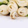 Charm PANDORA Moneda de la buena fortuna 767821CSY
